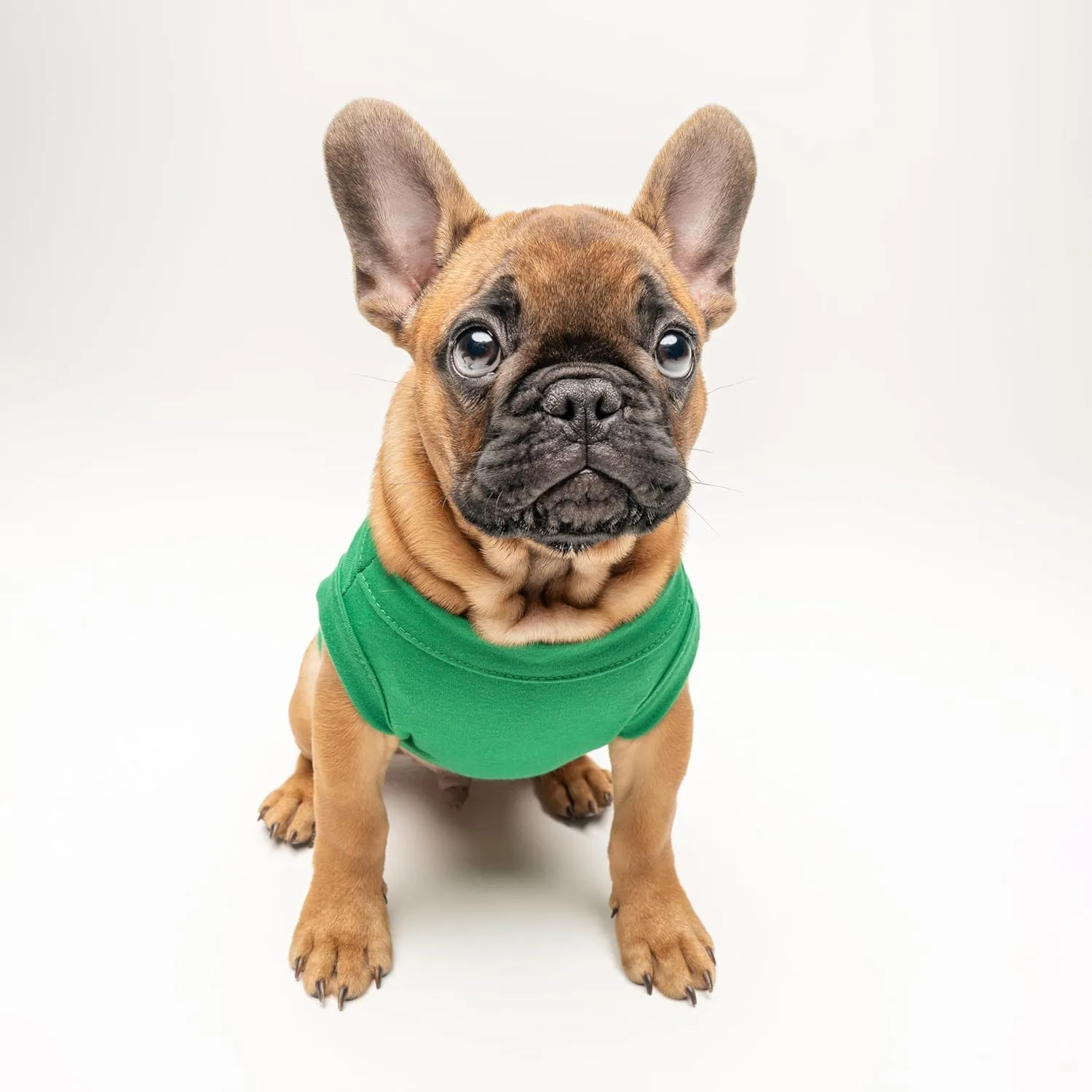 Happy Birthday Daddy Dog Tee Shirt | Sleeveless | Pawty | Party Theme | Celebration Supplies | Photoshoot (Green, Large 170)