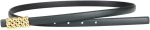 JSEIAJB Waistband for Women Cowhide Decoration Suit Belt for Women Dress for Women Waist Up Jeans Belt for Women(Gray)